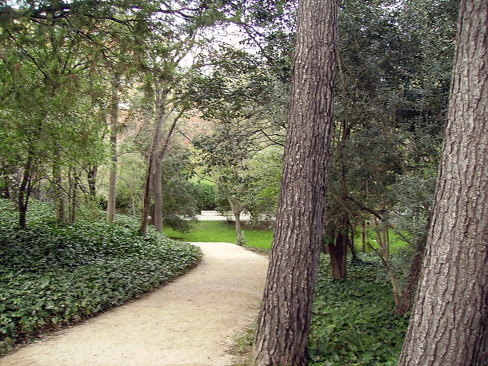 File:Bosque - panoramio.jpg