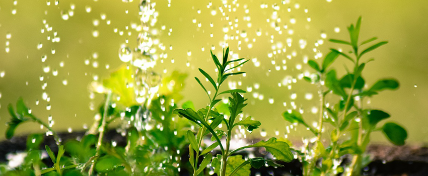 HUB_BANNER_Drop of water