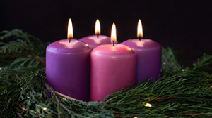 Our Pilgrimage to the Manger – Part 1