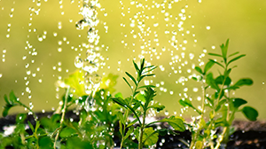 Growing in Prayer