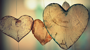 The Heart of the Matter The Heart of the Matter